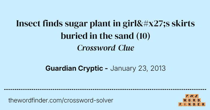 Insect finds sugar plant in girl's skirts buried in the sand crossword clue image