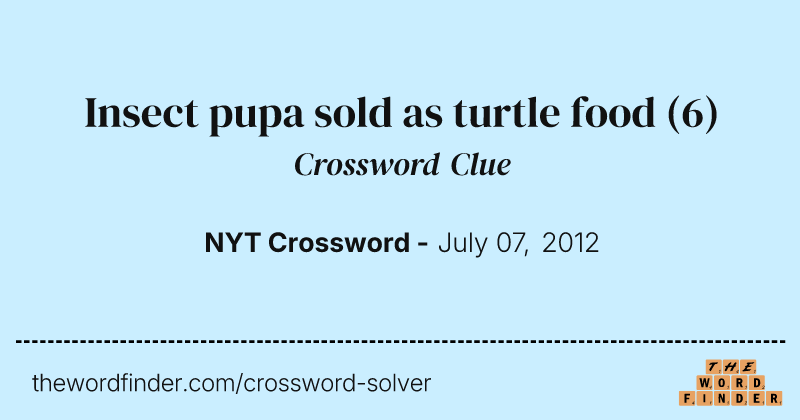 Insect pupa sold as turtle food crossword clue image