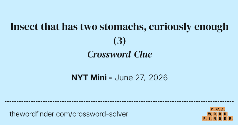 Insect that has two stomachs, curiously enough crossword clue image