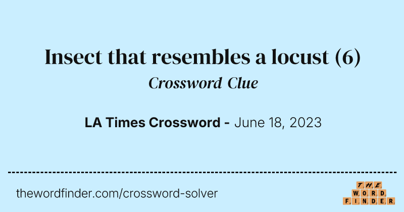 Insect that resembles a locust crossword clue image