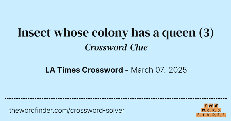 Insect whose colony has a queen crossword clue image