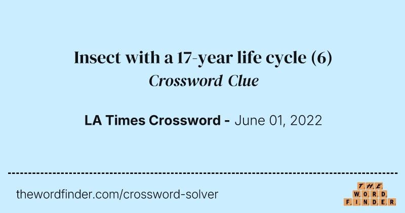 Insect with a 17-year life cycle crossword clue image