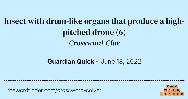 Insect with drum-like organs that produce a high-pitched drone crossword clue image