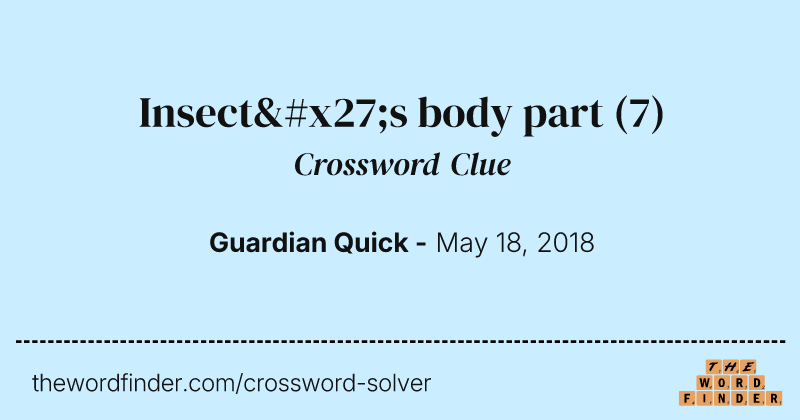 Insect's body part crossword clue image