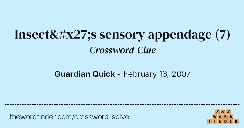 Insect's sensory appendage crossword clue image