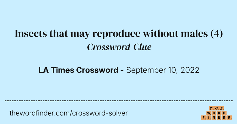 Insects that may reproduce without males crossword clue image