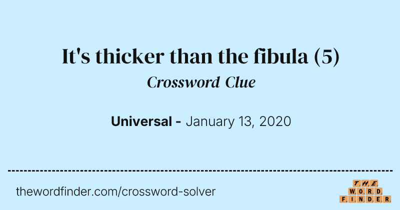 It's thicker than the fibula crossword clue image