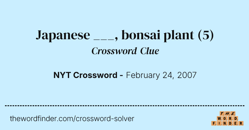 Japanese ___, bonsai plant crossword clue image