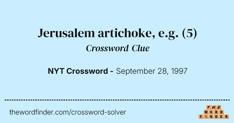 Jerusalem artichoke, e.g. crossword clue image
