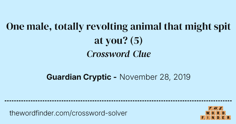 One male, totally revolting animal that might spit at you? crossword clue image