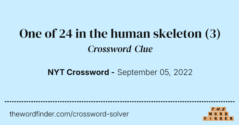 One of 24 in the human skeleton crossword clue image