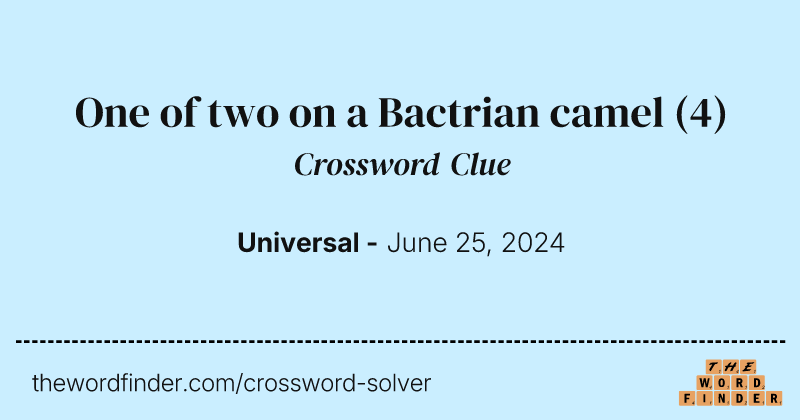 One of two on a Bactrian camel crossword clue image