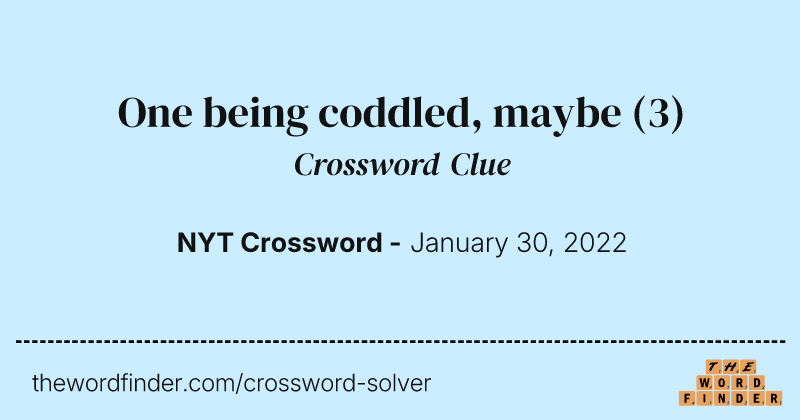 One being coddled, maybe crossword clue image