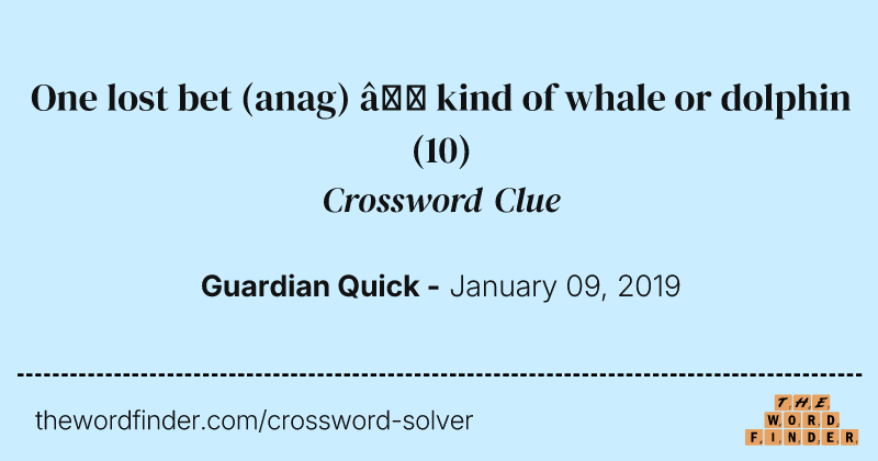 One lost bet (anag) — kind of whale or dolphin crossword clue image