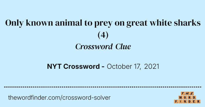 Only known animal to prey on great white sharks crossword clue image