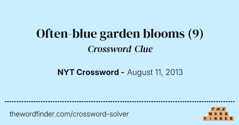Often-blue garden blooms crossword clue image