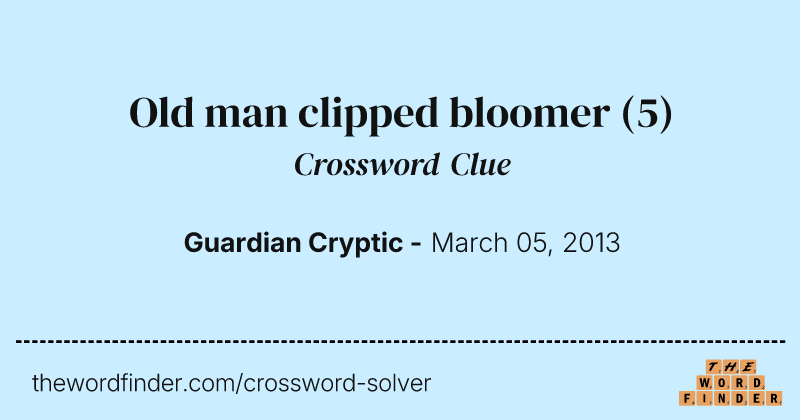 Old man clipped bloomer crossword clue image