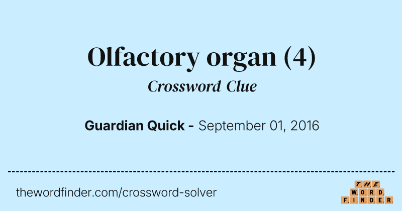 Olfactory organ crossword clue image