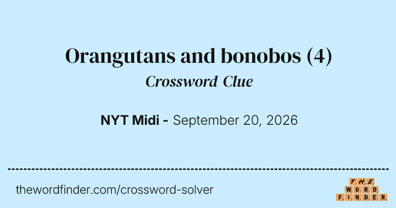 Orangutans and bonobos crossword clue image