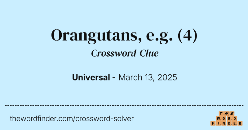 Orangutans, e.g. crossword clue image