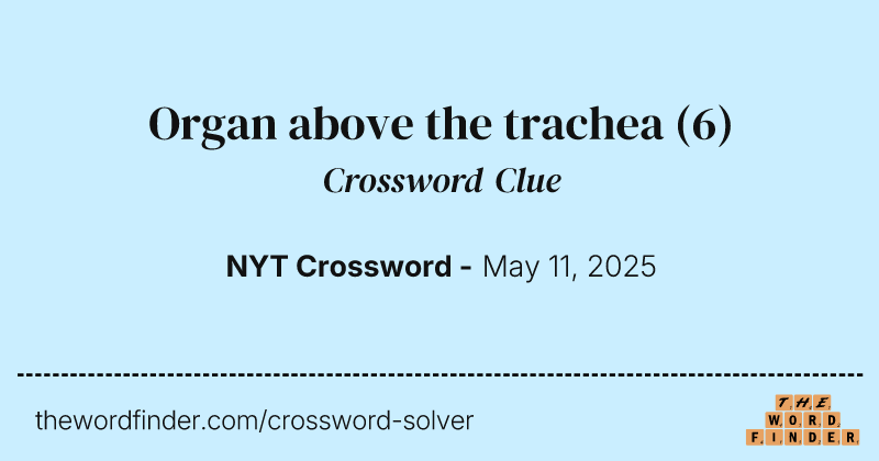 Organ above the trachea crossword clue image