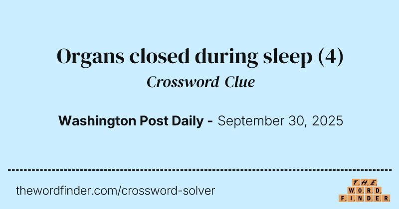Organs closed during sleep crossword clue image