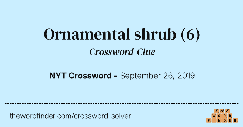Ornamental shrub crossword clue image
