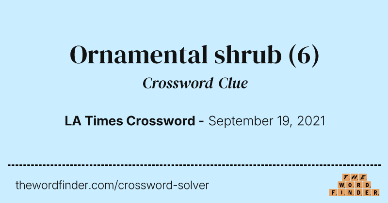 Ornamental shrub crossword clue image