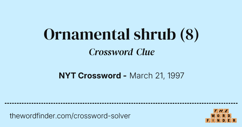 Ornamental shrub crossword clue image