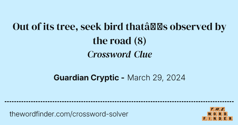 Out of its tree, seek bird that’s observed by the road crossword clue image