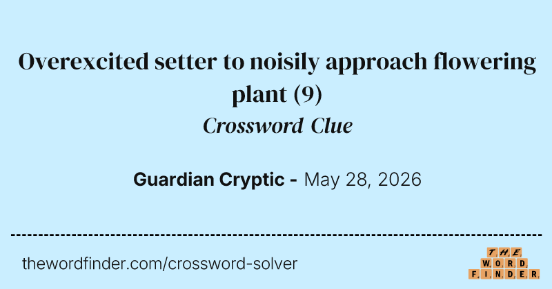 Overexcited setter to noisily approach flowering plant crossword clue image