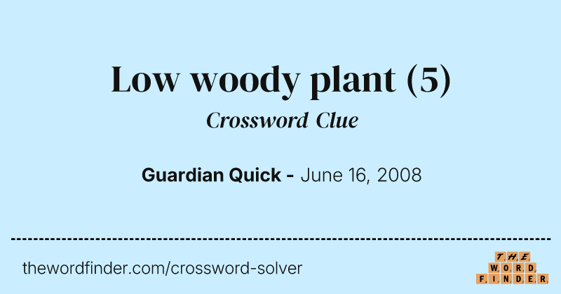 Low woody plant crossword clue image