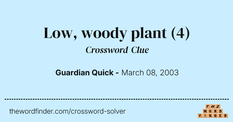 Low, woody plant crossword clue image
