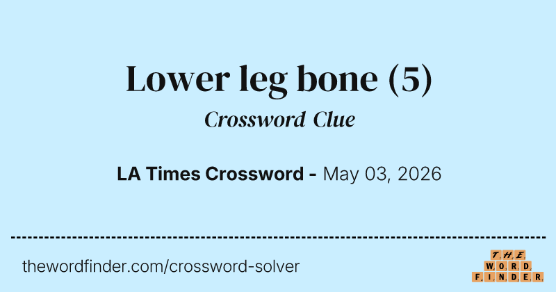 Lower leg bone crossword clue image