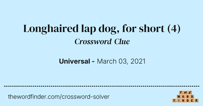 Longhaired lap dog, for short crossword clue image