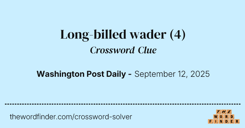Long-billed wader crossword clue image