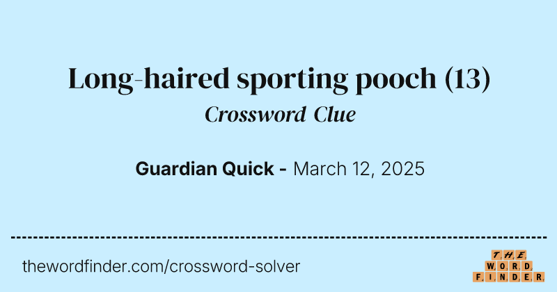 Long-haired sporting pooch crossword clue image