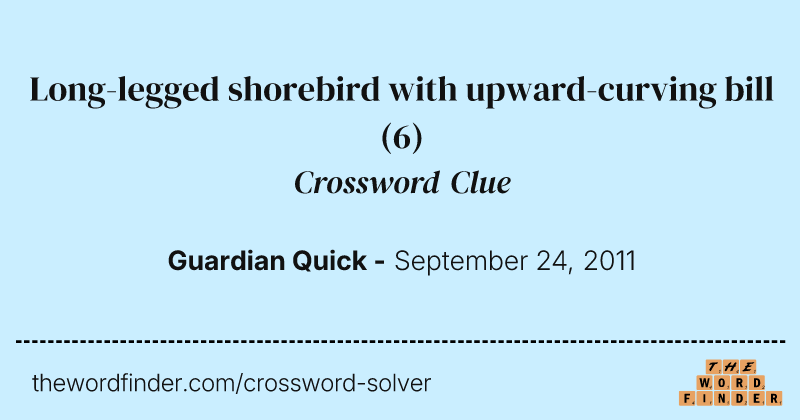 Long-legged shorebird with upward-curving bill crossword clue image