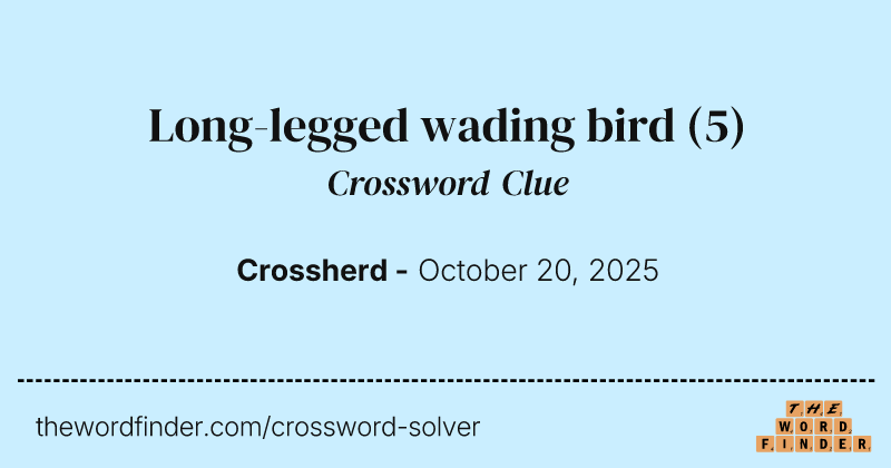 Long-legged wading bird crossword clue image