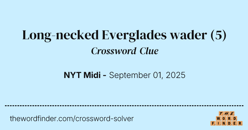 Long-necked Everglades wader crossword clue image