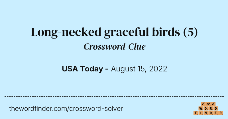 Long-necked graceful birds crossword clue image