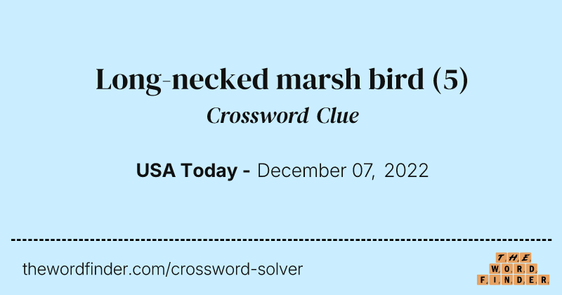 Long-necked marsh bird crossword clue image