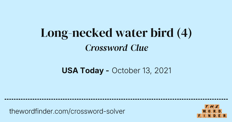 Long-necked water bird crossword clue image