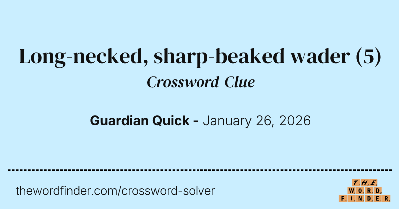 Long-necked, sharp-beaked wader crossword clue image