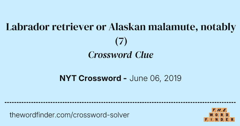 Labrador retriever or Alaskan malamute, notably crossword clue image