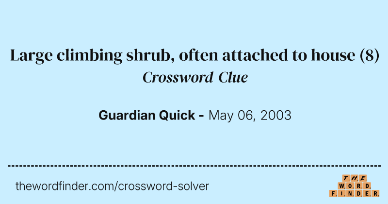 Large climbing shrub, often attached to house crossword clue image