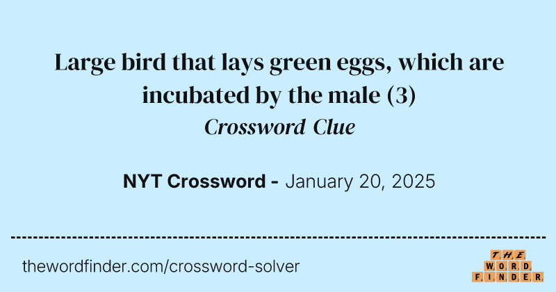 Large bird that lays green eggs, which are incubated by the male crossword clue image