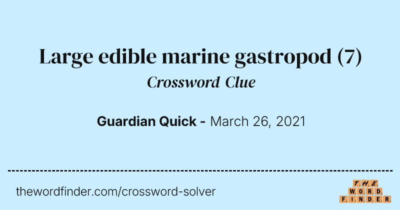 Large edible marine gastropod crossword clue image