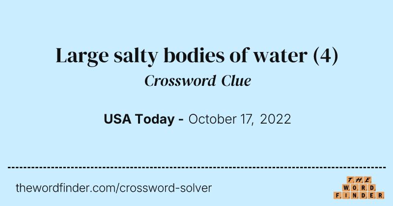 Large salty bodies of water crossword clue image