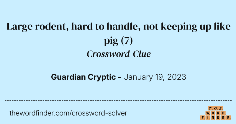 Large rodent, hard to handle, not keeping up like pig crossword clue image